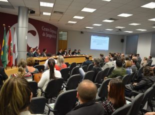 a foto mostra o público da plenária, de costas