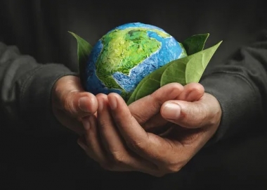 COP 27: pesquisa mostra como indústria se dedica à sustentabilidade
