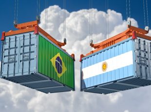 Palestra do Núcleo de Negócios Internacionais orienta empresas sobre mercado argentino