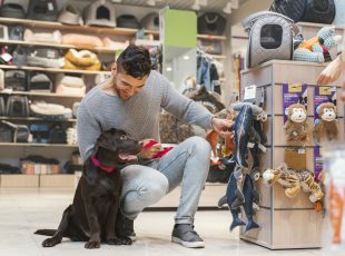 ACIJS fomenta Núcleo Empresarial de Pet Shops e Clínicas Veterinárias