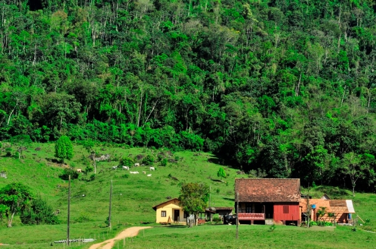 Jaraguá do Sul é destaque entre as cidades do Brasil com mais qualidade