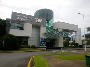 Agenda de atividades dos Núcleos Empresariais ACIJS