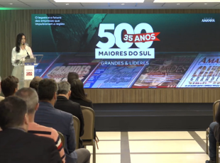 WEG e Lunelli em destaque entre as 100 maiores empresas de SC