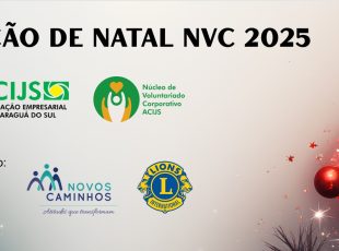 Núcleo de Voluntariado da ACIJS organiza Ação de Natal para levar crianças a parque temático